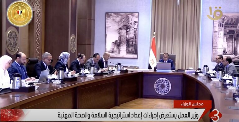 Green Codes Contributes to the Development of Egypt’s National Safety Platform